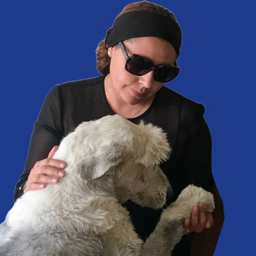 Darta, el perrito de la escuela